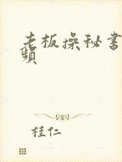 老板操秘书的视频