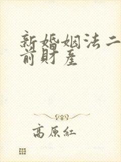 新婚姻法二婚婚前财产