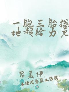 一胞三胎总裁爹地超给力免费阅读