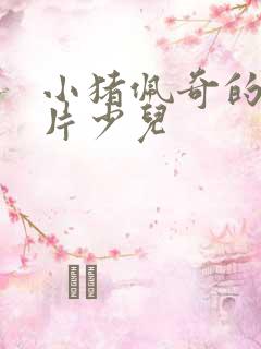 小猪佩奇的动画片少儿