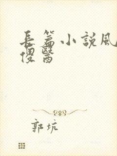 长篇小说风流小傻医