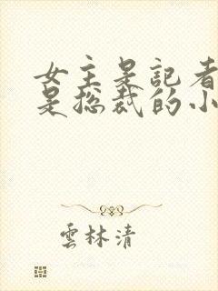 女主是记者男主是总裁的小说