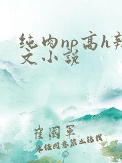 纯肉np高h辣文小说
