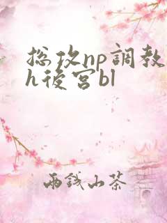 总攻np调教高h后宫bl