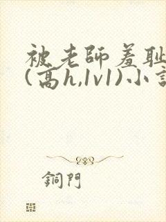 被老师羞耻调教(高h,1v1)小说