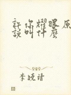 许你耀眼原著小说叫什么