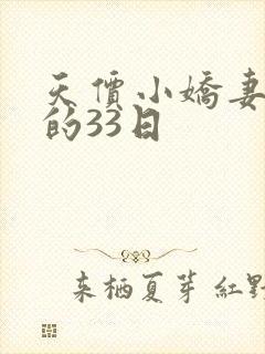 天价小娇妻总裁的33日