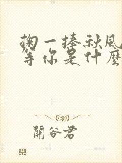 掬一捧秋风我在等你是什么歌