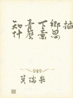 知青下乡插队是什么意思