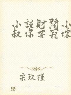 小说财阀小娇妻叔你要宠坏我了