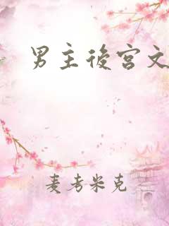 男主后宫文h