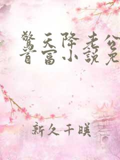 惊天降老公竟是首富小说免费