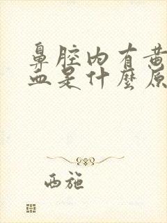 鼻腔内有黄痰带血是什么原因