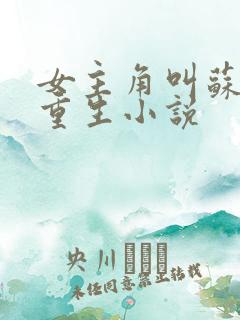 女主角叫苏洛的重生小说