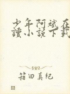 少年阿斌在线阅读小说下载全文