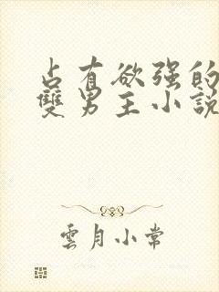 占有欲强的病娇双男主小说