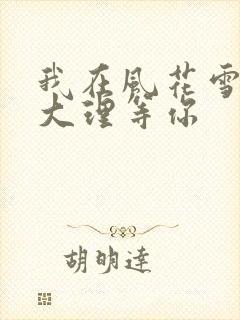 我在风花雪月的大理等你