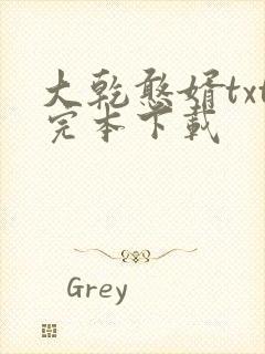 大乾憨婿txt完本下载