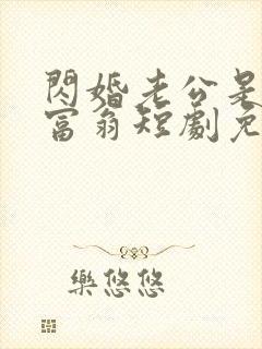 闪婚老公是亿万富翁短剧免费观看