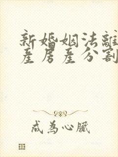 新婚姻法离婚财产房产分割