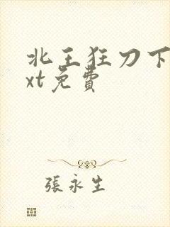 北王狂刀下载txt免费