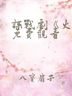 谍战剧《火种》免费观看