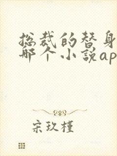 总裁的替身前妻哪个小说app能看