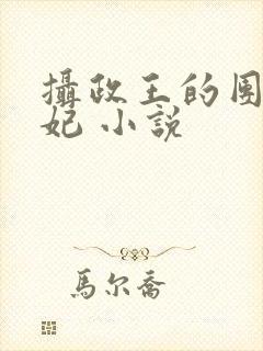 摄政王的团宠医妃 小说