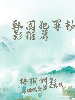 韩国犯罪动作电影推荐