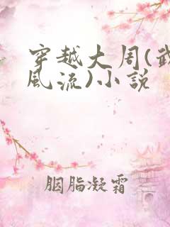 穿越大周(武唐风流)小说