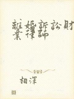 离婚诉讼财产专业律师