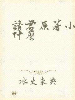 请君原著小说叫什么