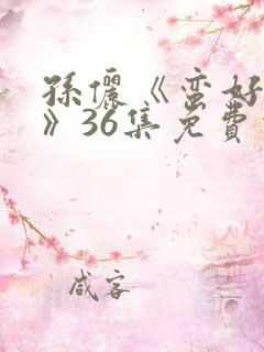 孙俪《蛮好人生》36集免费观看