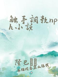 触手调教np高h小说