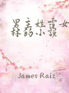 男主姓霍女主姓林的小说