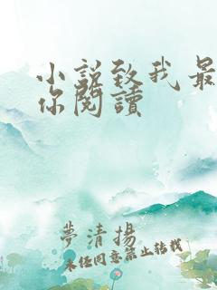 小说致我最爱的你阅读