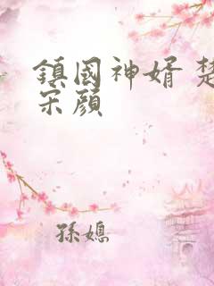 镇国神婿 楚尘宋颜