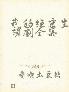 我的绝密生涯电视剧全集