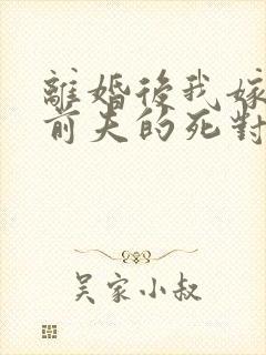离婚后我嫁给了前夫的死对头
