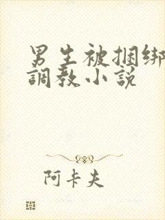 男生被捆绑束缚调教小说