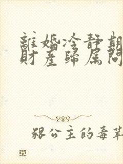 离婚冷静期夫妻财产归属问题研究