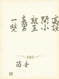 一来就开高速的双男主小说