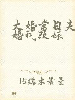 大婚当日夫君逃婚我改嫁