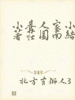 小巷人家小说原著庄图南结局