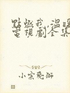 点燃我,温暖你电视剧全集免费