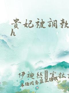 贵妃被调教浪荡h