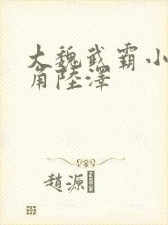 大魏武霸小说主角陆泽