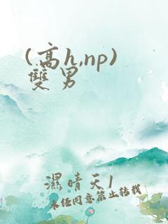 (高h,np)双男