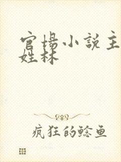 官场小说主人公姓林