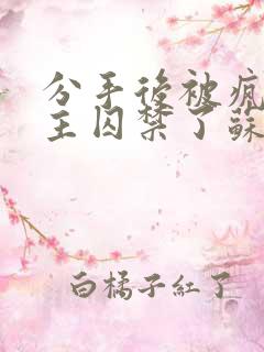 分手后被疯批男主囚禁了苏念最后和谁在一起